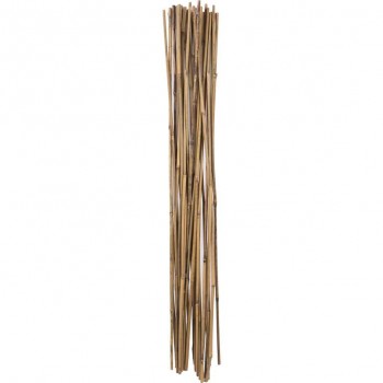 Holland Greenhouse Piquets en bambou 3 pi x 6-8 mm - 25 pièces